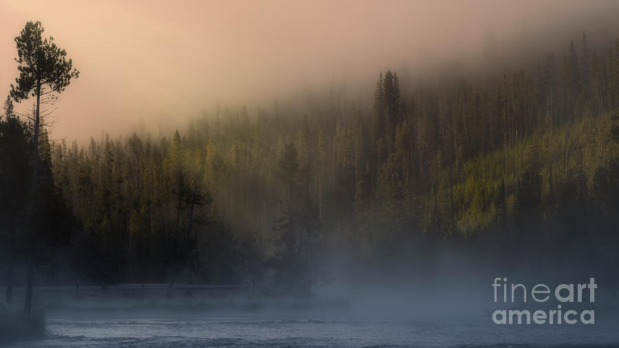 Foggy Morning on the Madison River Photograph by Jerry Fornarotto