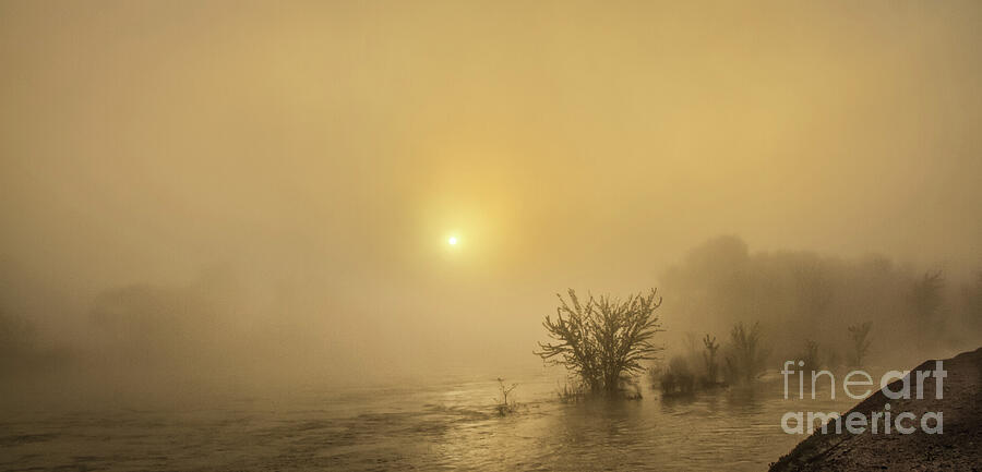 Foggy Morning On The Payette River Photograph by Robert Bales