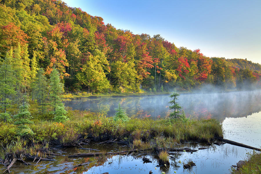 Foggy Morning on the Pond Photograph by David Patterson