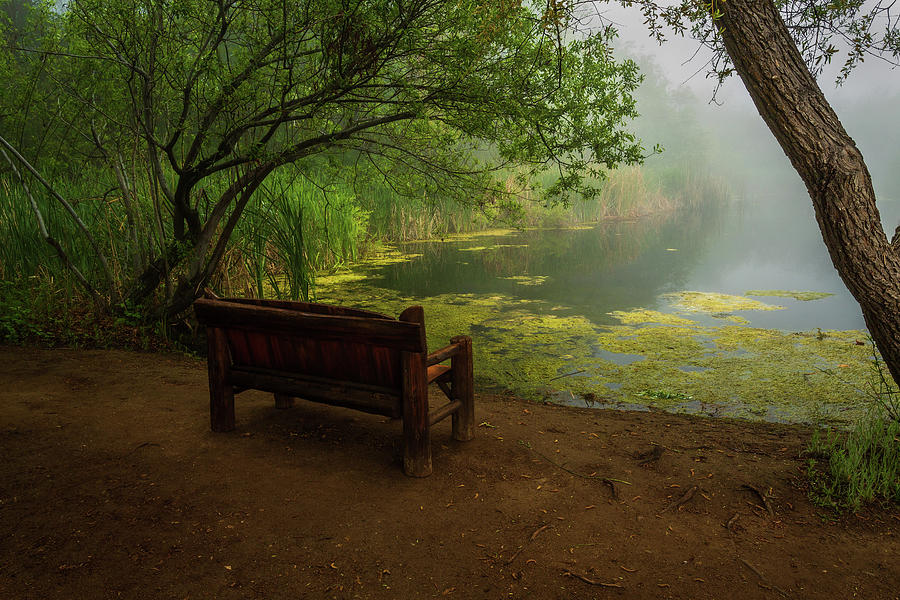 Foggy Morning on the Pond Photograph by Rick Strobaugh