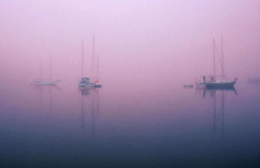 Foggy Morning on the  Sassafras River Photograph by Richard Goldman