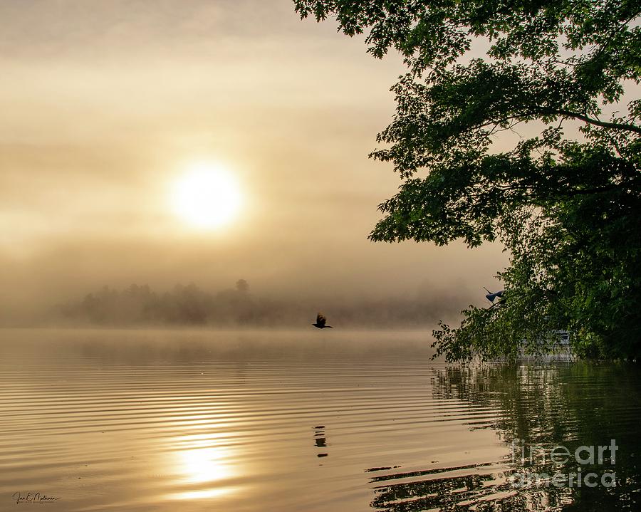 Foggy Morning On Woodbury Pond Photograph