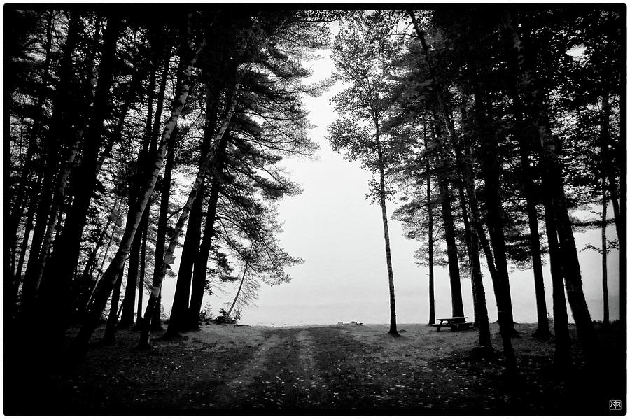 Foggy Morning on Wyman Lake Photograph by John Meader