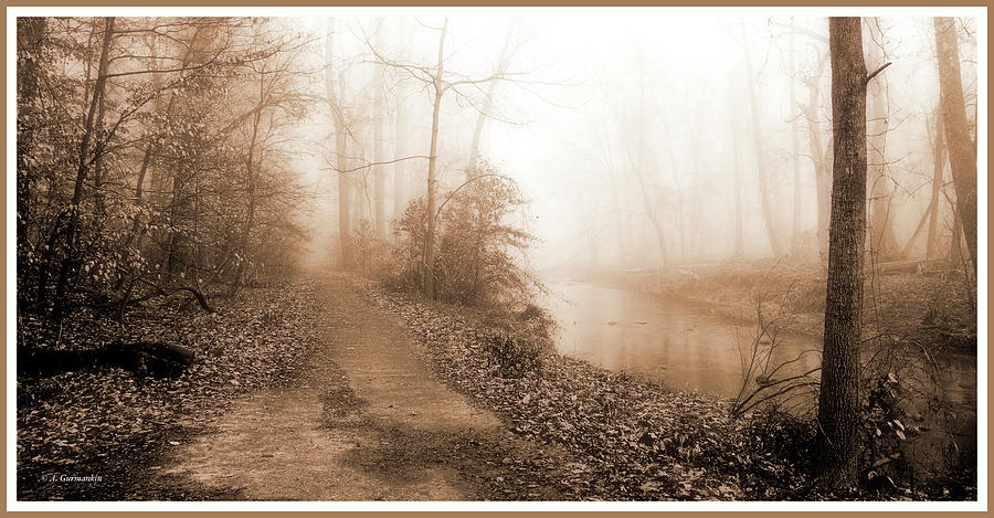 Foggy Morning Over a Pennsylvania Forest Trail Photograph by A Macarthur Gurmankin