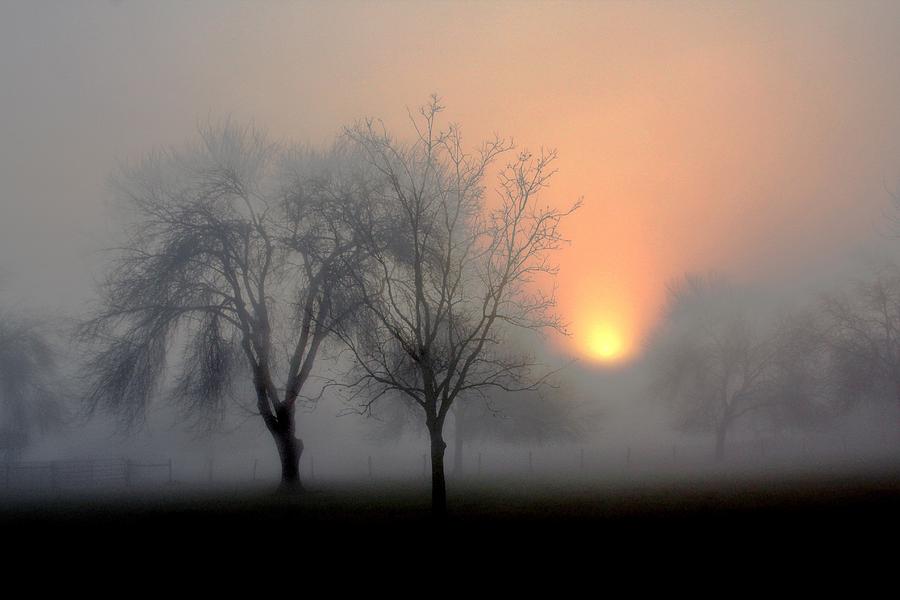 Foggy morning sun rise Photograph by Warren Birge Fine Art America