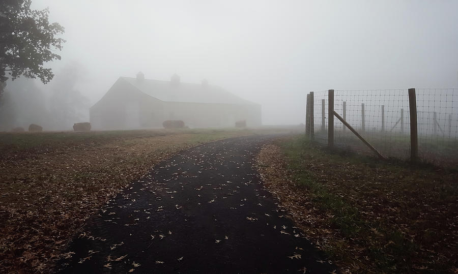 Foggy Morning Sunrise Barn - Kentucky Photograph by Greg Jackson