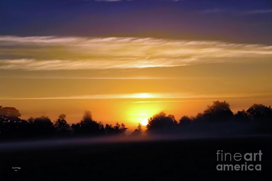 Foggy Morning Sunrise Photograph by DB Hayes