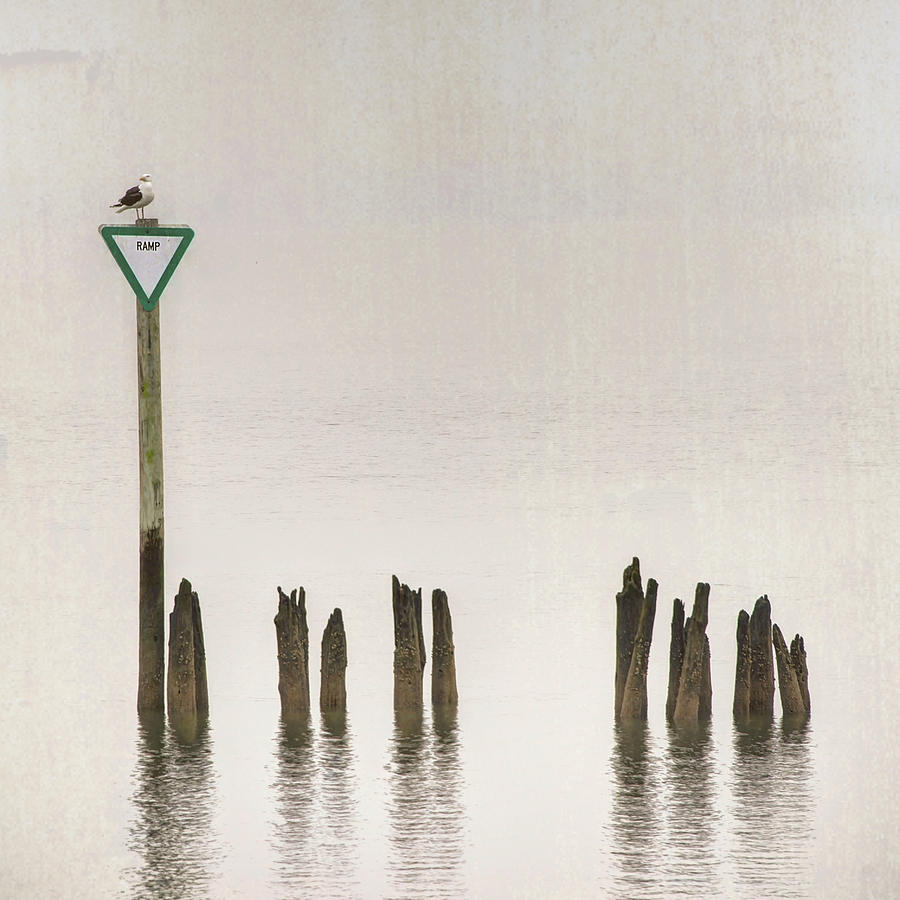 Seagull Photograph - Foggy Morning Texture Keyport Harbor by Gary Slawsky