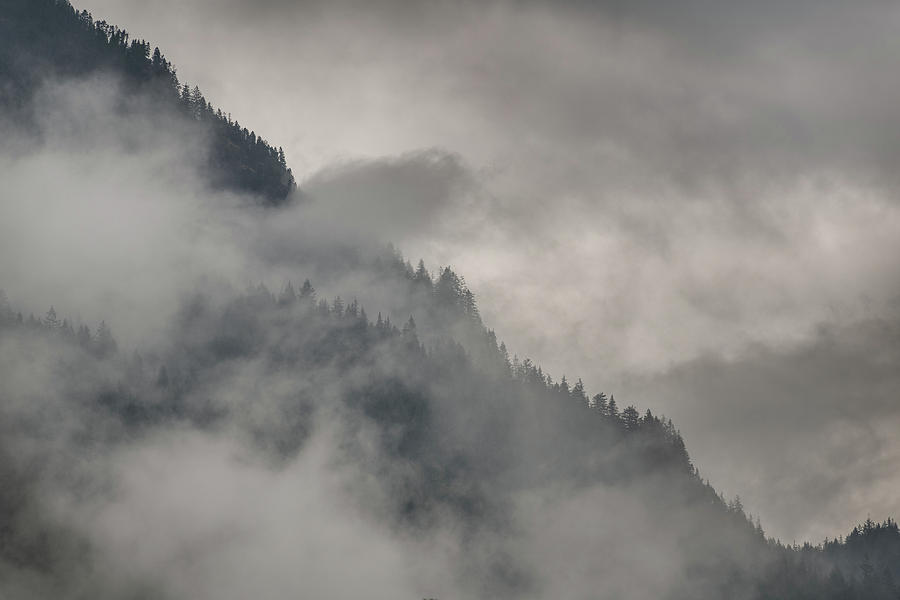 Foggy Mountain Forest British Columbia Canada Photograph