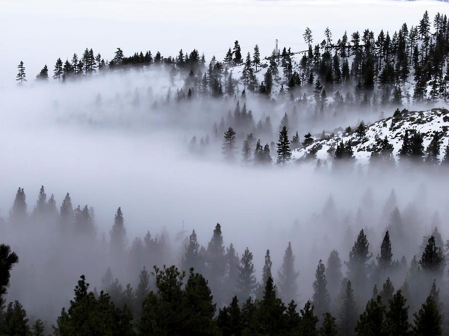 Tree Photograph - Foggy Mountain Pass by Christopher Johnson