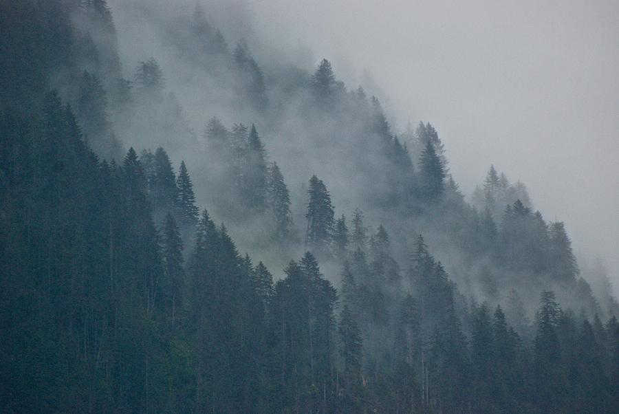 Foggy Mountain Ridge Photograph by Eric Tressler