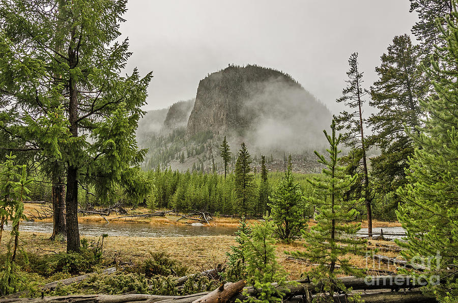 Foggy Mountain Photograph by Sue Smith
