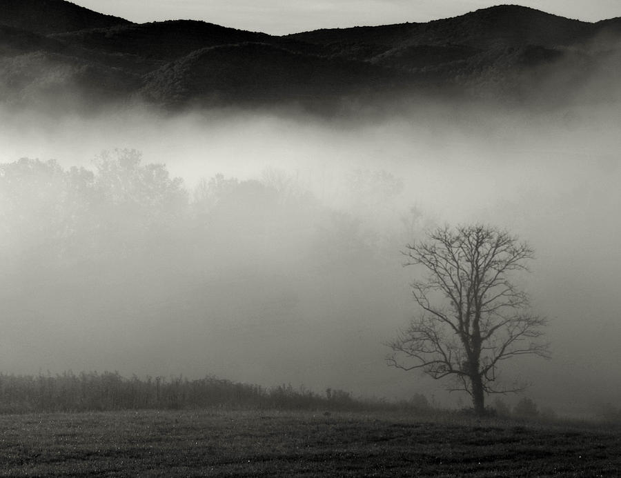 Foggy Mountain-Tennessee Photograph by Chuck Brown