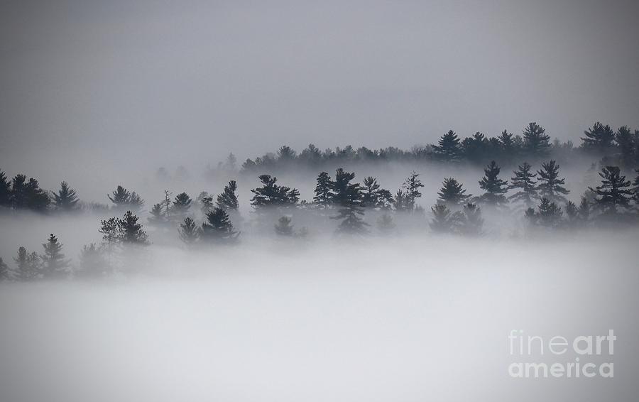 Foggy Mountains Photograph by Deena Withycombe