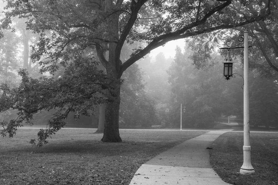 Foggy MSU Morning  Photograph by John McGraw