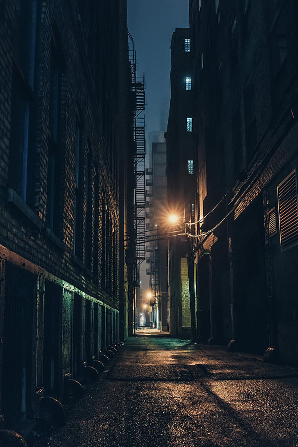 Foggy Night Chicago Photograph by Nisah Cheatham - Fine Art America