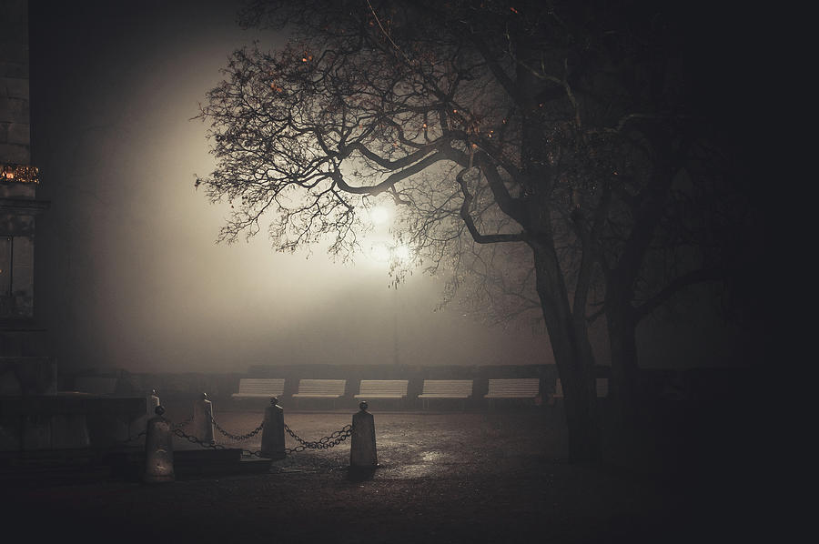 Foggy Night In Brno. Denis Gardens Photograph