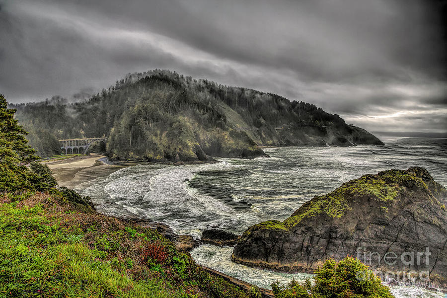 Foggy Oregon Coast Photograph by Jon Burch Photography
