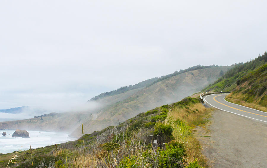 Foggy Pacific Coast Highway Photograph by Susan Vineyard