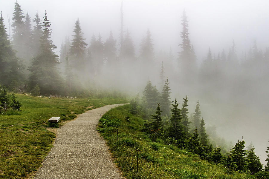 Foggy Path at Hurricane Ridge Photograph by Roslyn Wilkins