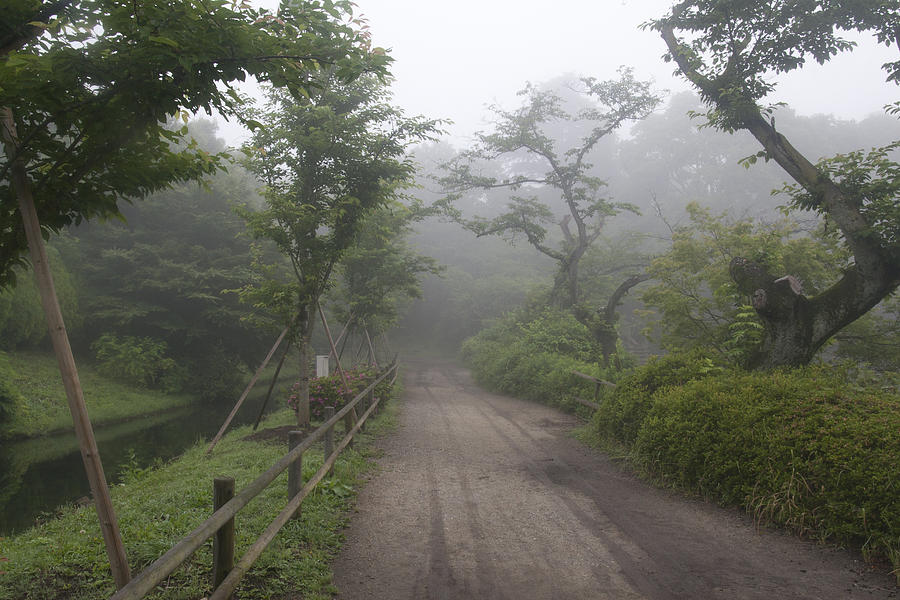 Foggy Path Photograph by Masami Iida