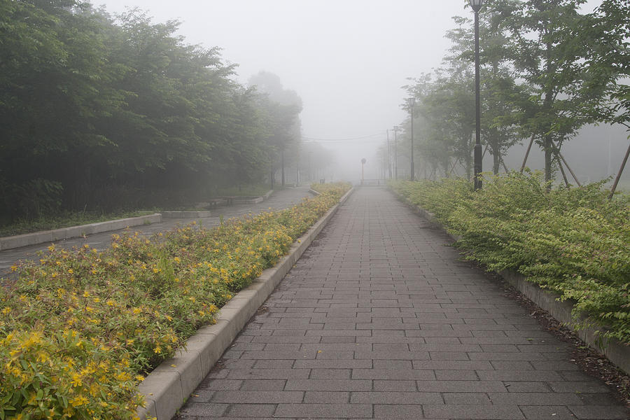 Foggy Pathway Photograph by Masami Iida
