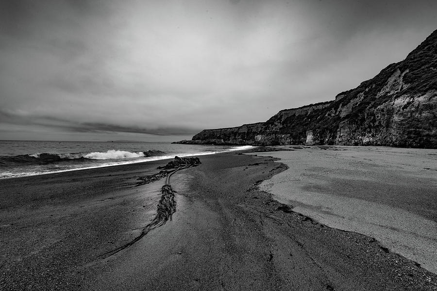 Point Reyes Foggy Beach Photograph by Daniel Danzig - Fine Art America