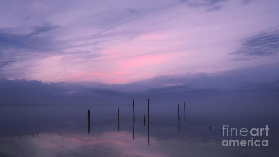 Foggy Purple Haze Sunset Photograph by Benanne Stiens