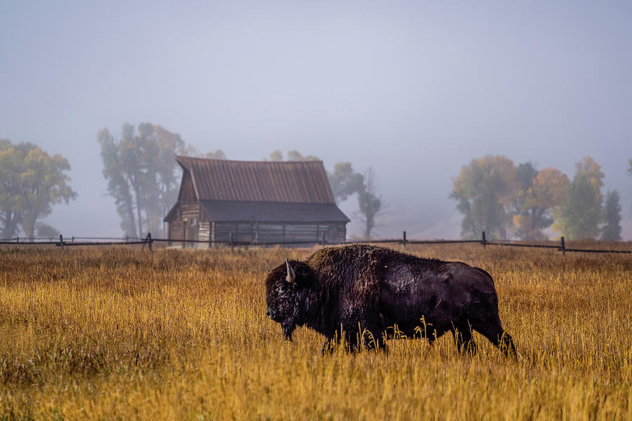 Foggy Range Photograph by Jeff Stoddart Foggy Range Photograph by Jeff Stoddart