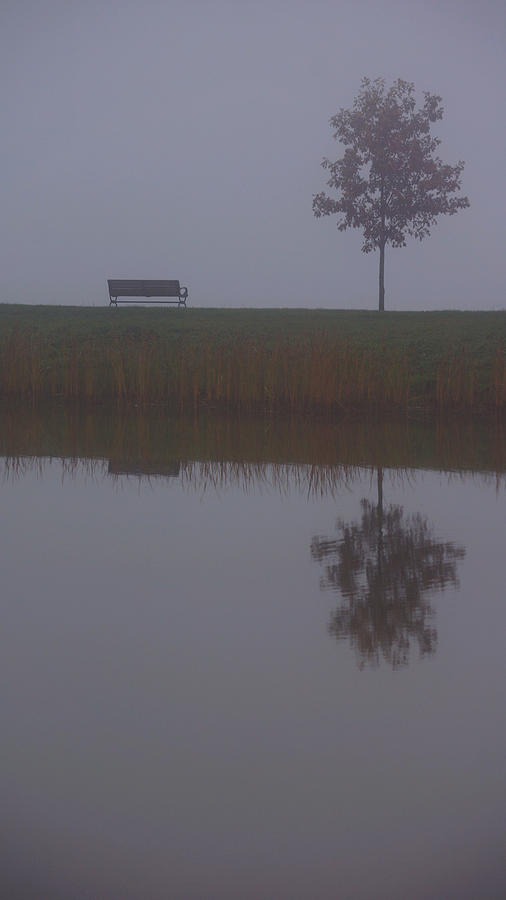 Foggy Reflection Photograph by Brooke Bowdren