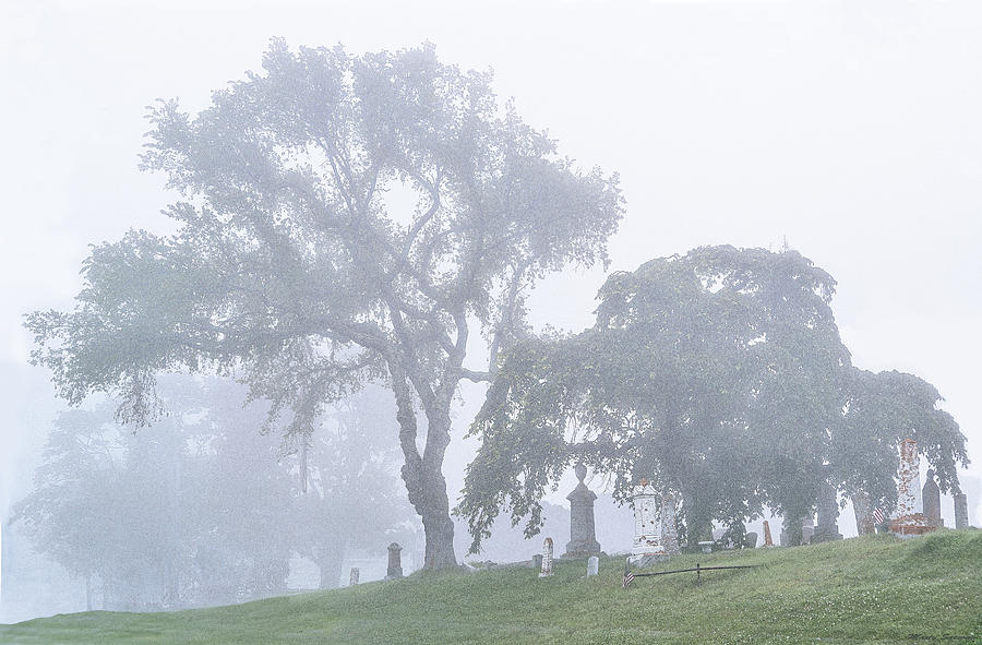 Foggy Resting Place Photograph by Marty Saccone