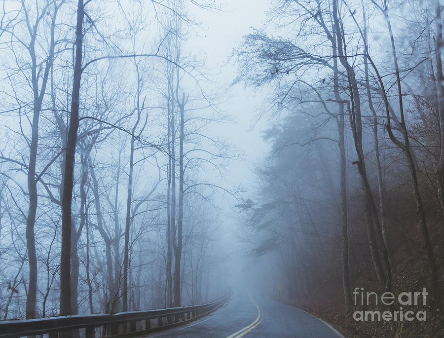 Foggy Road Photograph by Andrea Anderegg