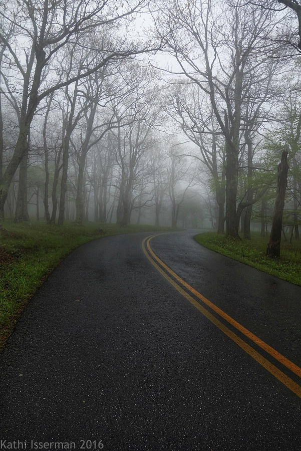 Foggy Road Photograph by Kathi Isserman