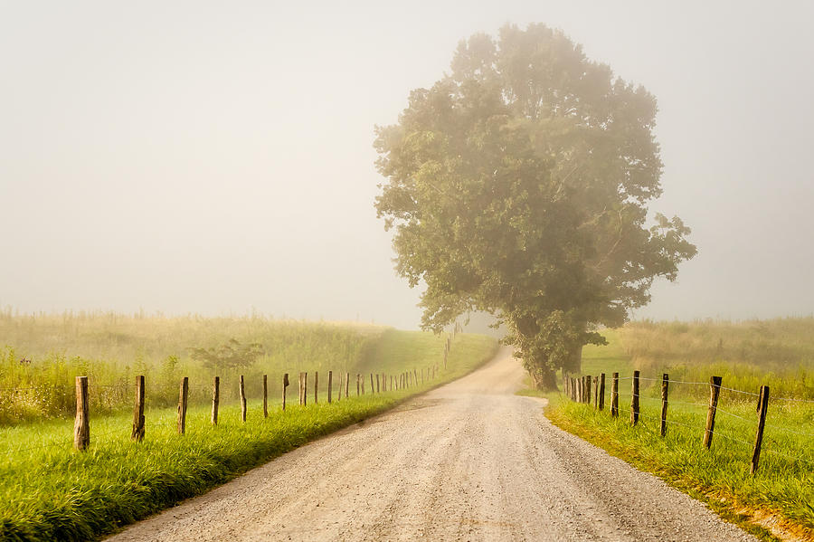 Foggy Road Photograph by Keith Allen