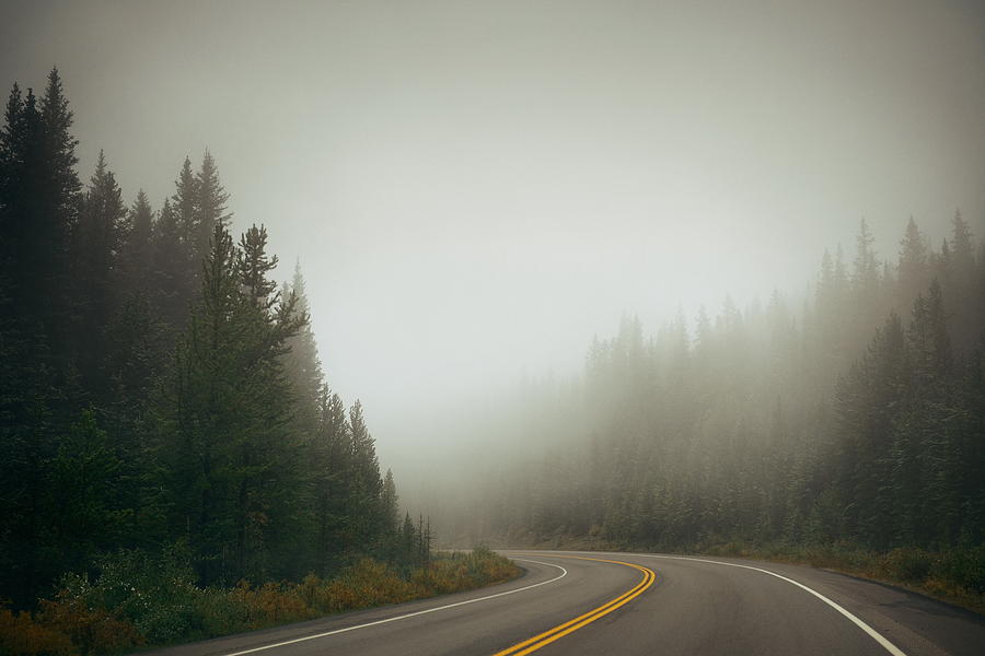 Foggy road Photograph by Songquan Deng