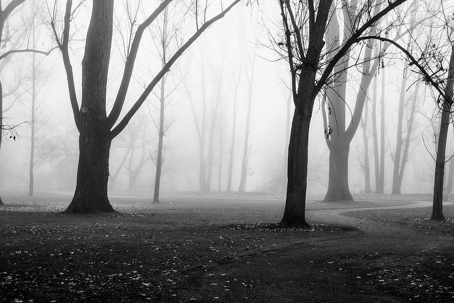Foggy scene in Boise Idaho Photograph by Vishwanath Bhat