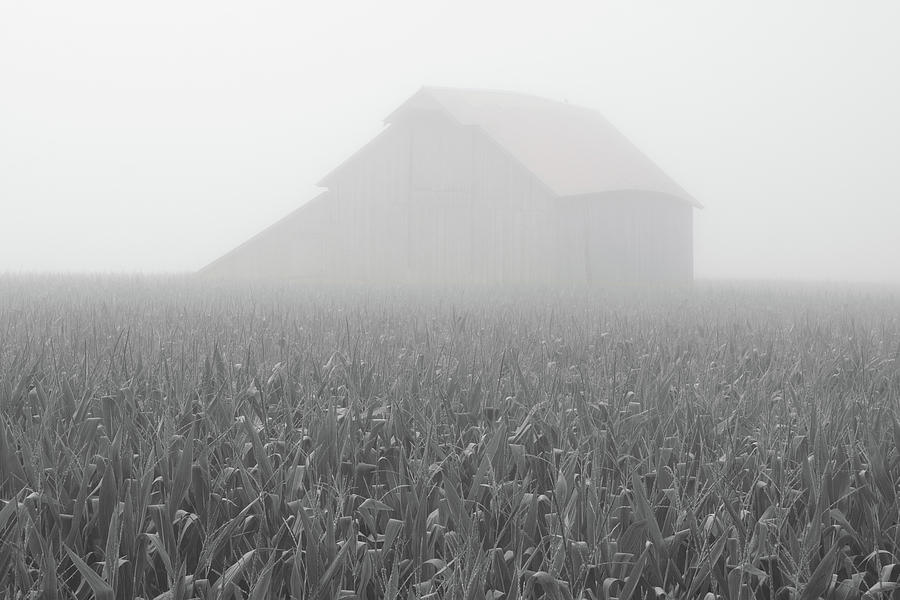 Foggy Summer Barn Photograph by Dylan Punke