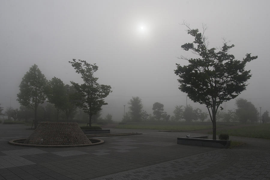 Foggy Sun Photograph by Masami Iida