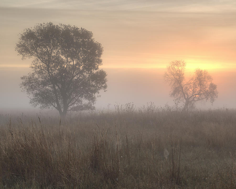 Foggy Sunrise -02 Photograph by Rob Graham