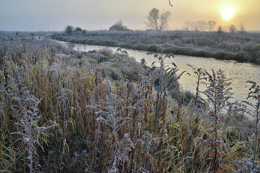 Foggy Sunrise along Nippersink Creek in Glacial Park Photograph by Ray Mathis