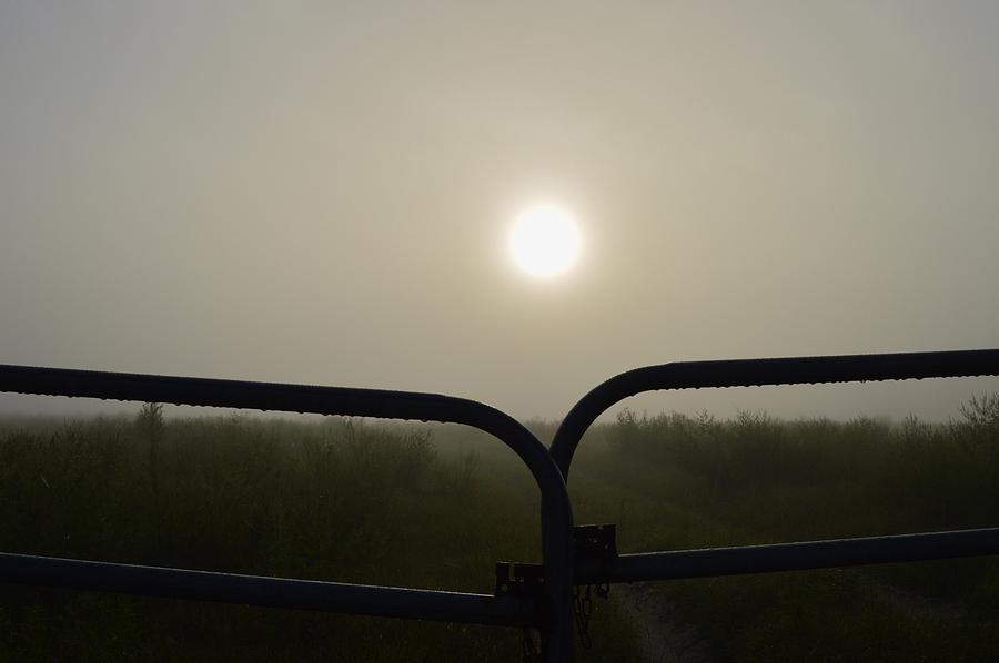 Foggy Sunrise and Gate Photograph by Warren Thompson