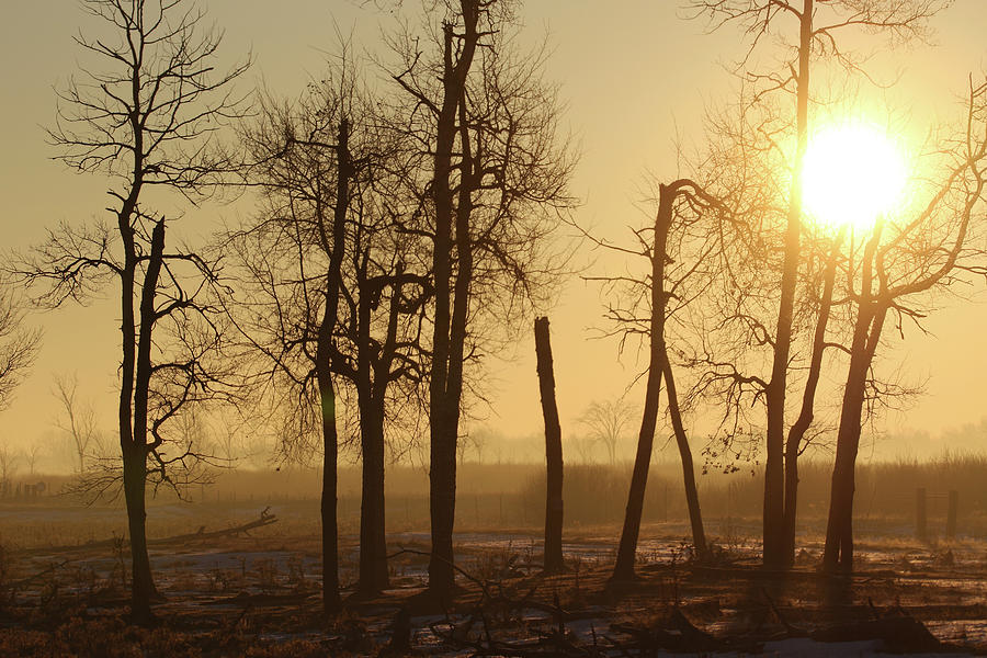 Foggy Sunrise Photograph by Brook Burling