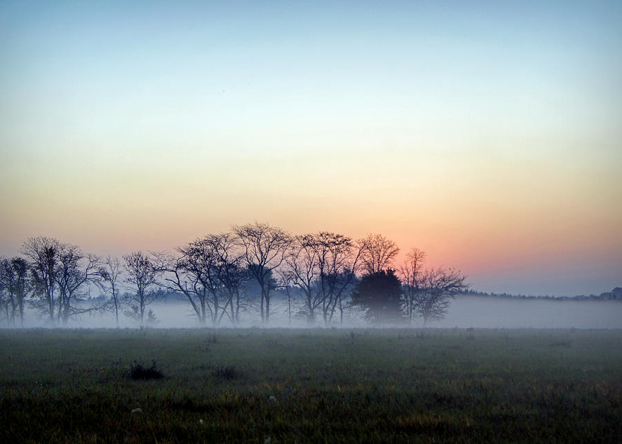 Foggy Sunrise Photograph by Cricket Hackmann