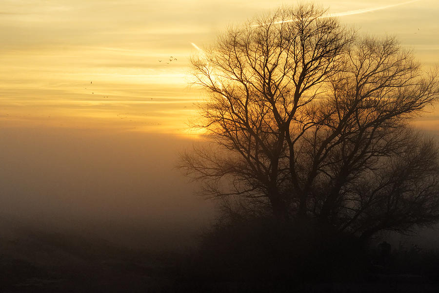 Foggy Sunrise Photograph by Darin Volpe