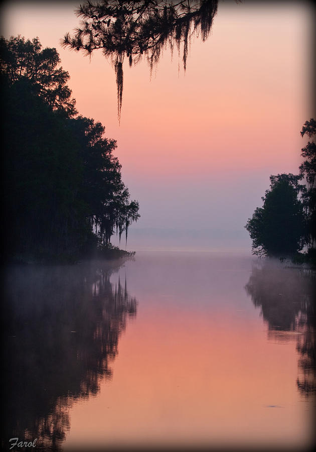 Foggy Sunrise Photograph by Farol Tomson