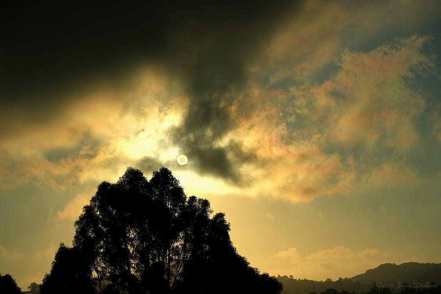 Foggy Sunrise In El Sobrante Photograph by Joyce Dickens