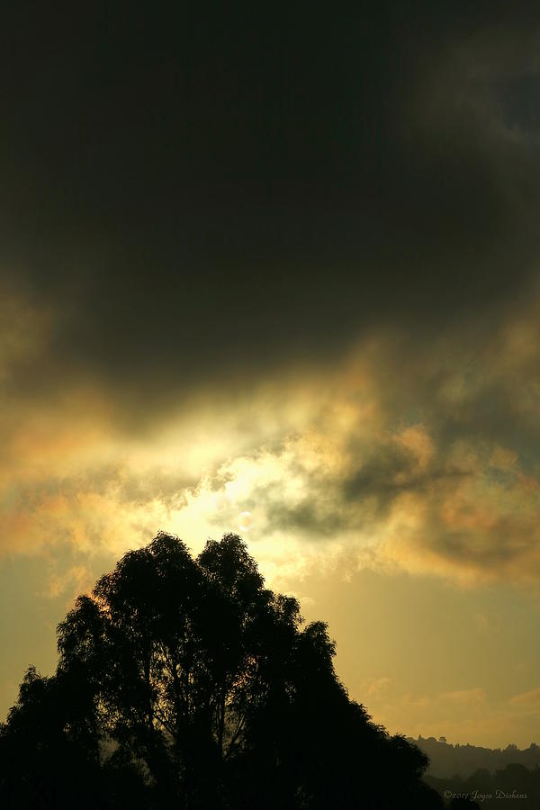 Foggy Sunrise In El Sobrante Two Photograph by Joyce Dickens