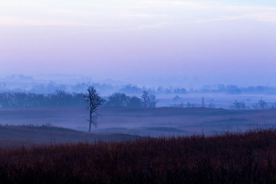 Foggy Sunrise in the Flint Hills Photograph by Jay Stockhaus
