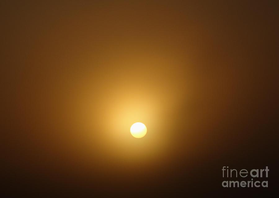 Foggy Sunrise Photograph