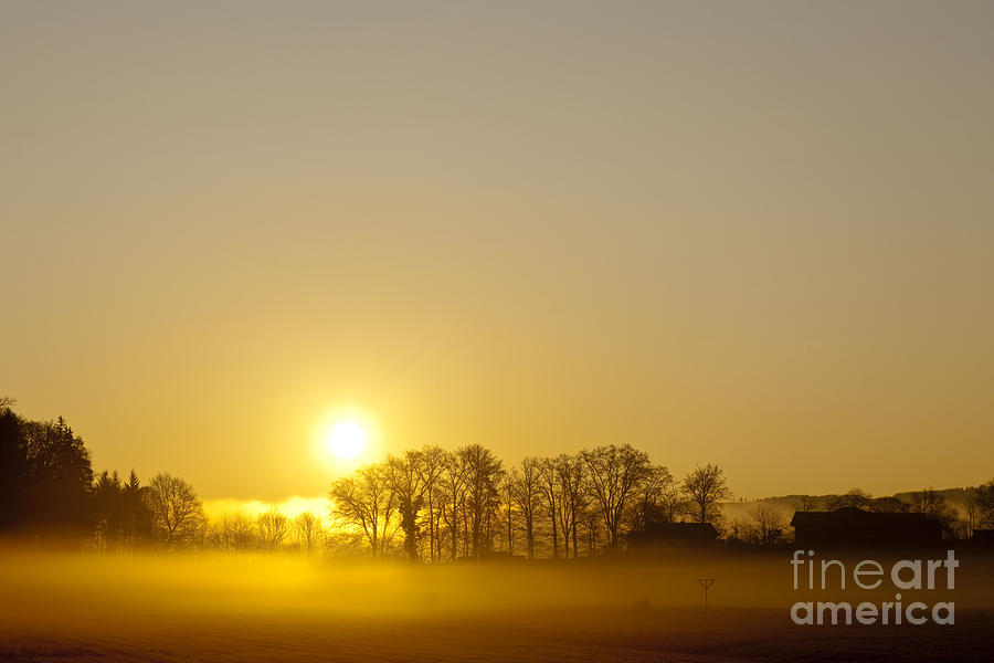 Foggy Sunrise Photograph by Monika Bhm